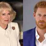 Prince Harry x Queen Camilla