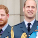 Prince Harry x Prince William