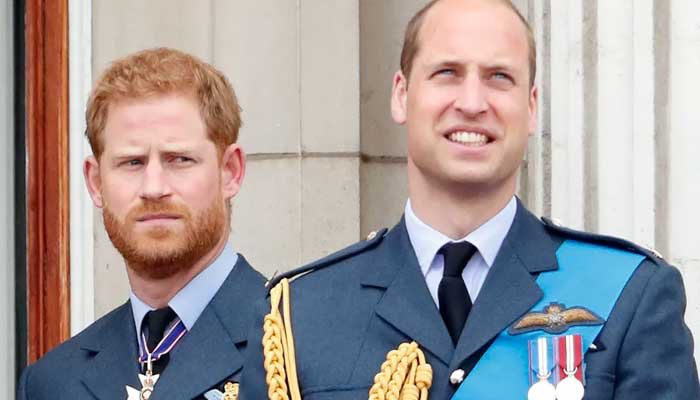 Prince Harry x Prince William