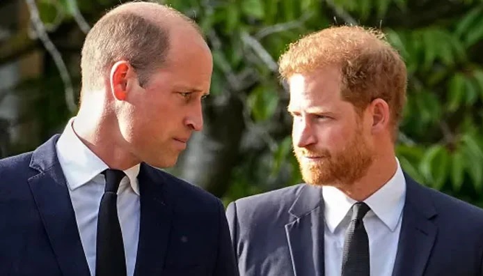 Prince Harry issues first emotional statement amid Pat Tillman award backlash