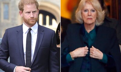 Prince Harry x Jill Biden